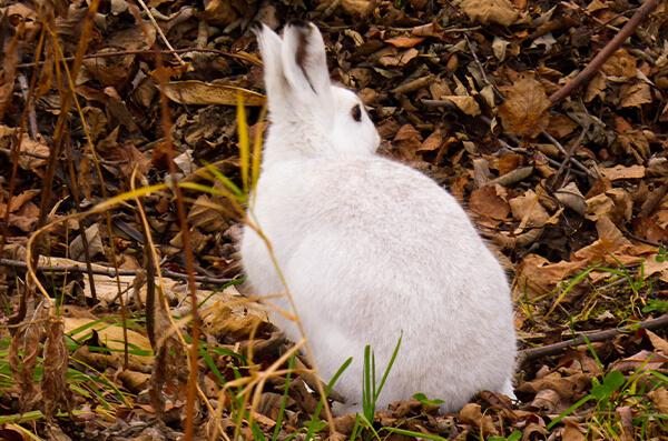 株式会社中川建設　中川の自然　写真6