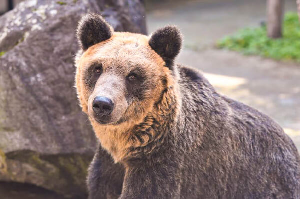 株式会社中川建設　中川の自然　写真8